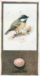 1936 Godfrey Phillips British Birds and Their Eggs #15 Coal-Tit Front