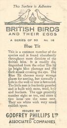 1936 Godfrey Phillips British Birds and Their Eggs #16 Blue Tit Back