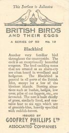 1936 Godfrey Phillips British Birds and Their Eggs #19 Blackbird Back