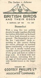 1936 Godfrey Phillips British Birds and Their Eggs #20 Stonechat Back