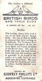 1936 Godfrey Phillips British Birds and Their Eggs #22 Robin Back