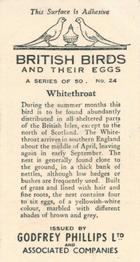 1936 Godfrey Phillips British Birds and Their Eggs #24 Whitethroat Back