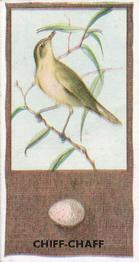 1936 Godfrey Phillips British Birds and Their Eggs #27 Chiff-Chaff Front