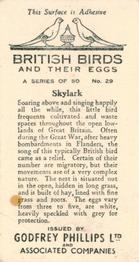 1936 Godfrey Phillips British Birds and Their Eggs #29 Skylark Back