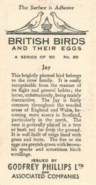 1936 Godfrey Phillips British Birds and Their Eggs #30 Jay Back