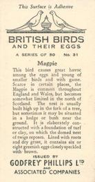 1936 Godfrey Phillips British Birds and Their Eggs #31 Magpie Back