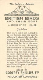 1936 Godfrey Phillips British Birds and Their Eggs #33 Jackdaw Back