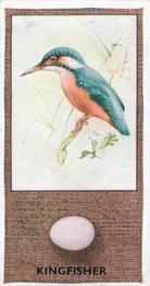 1936 Godfrey Phillips British Birds and Their Eggs #34 Kingfisher Front