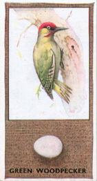 1936 Godfrey Phillips British Birds and Their Eggs #36 Green Woodpecker Front