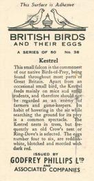 1936 Godfrey Phillips British Birds and Their Eggs #38 Kestrel Back