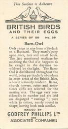 1936 Godfrey Phillips British Birds and Their Eggs #39 Barn-Owl Back