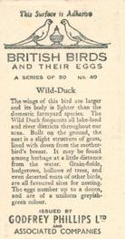 1936 Godfrey Phillips British Birds and Their Eggs #40 Wild-Duck Back