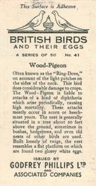 1936 Godfrey Phillips British Birds and Their Eggs #41 Wood-Pigeon Back
