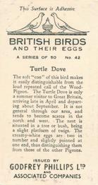 1936 Godfrey Phillips British Birds and Their Eggs #42 Turtle Dove Back