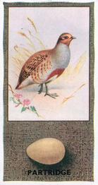 1936 Godfrey Phillips British Birds and Their Eggs #43 Partridge Front