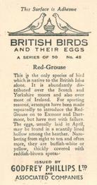 1936 Godfrey Phillips British Birds and Their Eggs #45 Red-Grouse Back