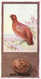 1936 Godfrey Phillips British Birds and Their Eggs #45 Red-Grouse Front