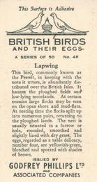 1936 Godfrey Phillips British Birds and Their Eggs #46 Lapwing Back