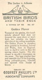 1936 Godfrey Phillips British Birds and Their Eggs #47 Golden Plover Back