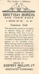 1936 Godfrey Phillips British Birds and Their Eggs #50 Common Gull Back