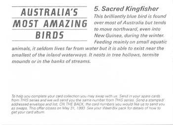 1993 Weet-Bix Australia's Most Amazing Birds #5 Sacred Kingfisher Back