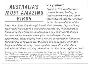 1993 Weet-Bix Australia's Most Amazing Birds #7 Lyrebird Back