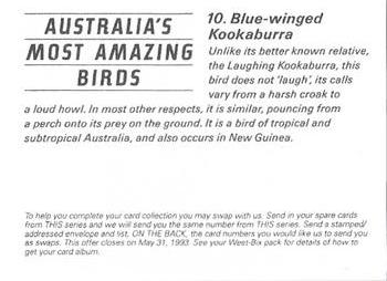1993 Weet-Bix Australia's Most Amazing Birds #10 Blue-winged Kookaburra Back