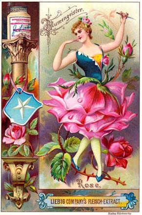 1895 Liebig Flower Girls VI (German Text) (F444, S445) #NNO Rose Front