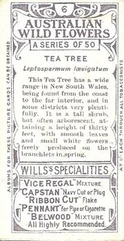 1913 Wills's Australian Wild Flowers #6 Tea Tree Back