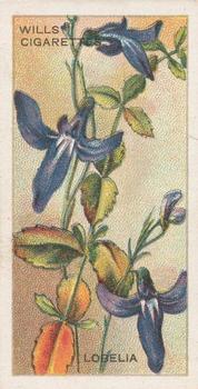 1913 Wills's Australian Wild Flowers #39 Lobelia Front