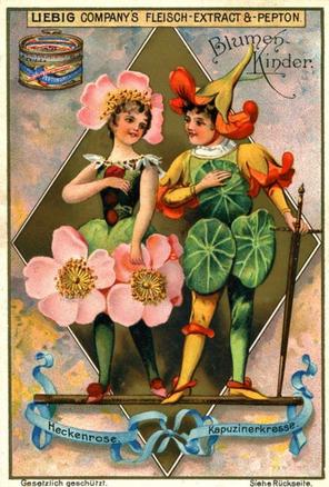 1898 Liebig Flower Girls VIII (German Text)(F554, S554) #NNO Wild Rose Front