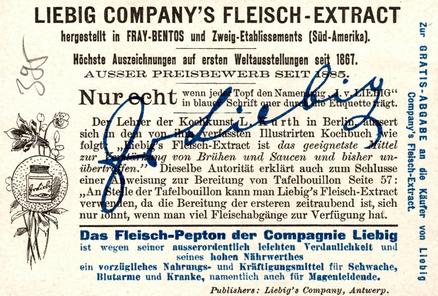 1898 Liebig Flower Girls IX (German Text)(F552, S556) #NNO Chrysanthemum Back