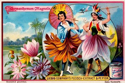 1898 Liebig Flower Girls IX (German Text)(F552, S556) #NNO Chrysanthemum Front
