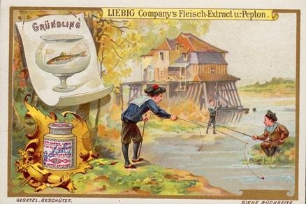 1899 Liebig Fishing II (German Text)(F600, S599) #NNO Gudgeon Front