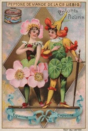 1898 Liebig Flower Girls VIII (French Text)(F554, S554) #NNO Wild Rose Front