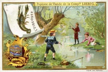 1899 Liebig Fishing II (French Text)(F600, S599) #NNO Crayfish Front