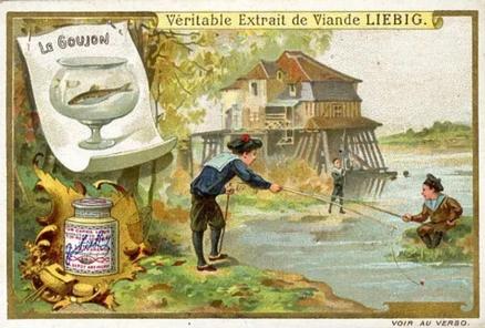 1899 Liebig Fishing II (French Text)(F600, S599) #NNO Gudgeon Front