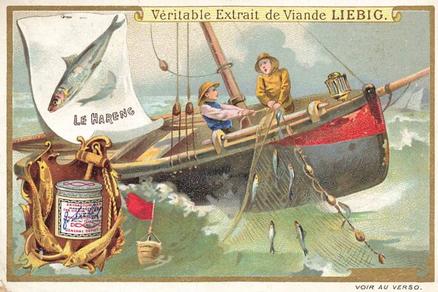 1899 Liebig Fishing II (French Text)(F600, S599) #NNO Herring Front