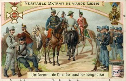 1899 Liebig Military Uniforms (French Text) (F607, S608) #NNO Austrian Front