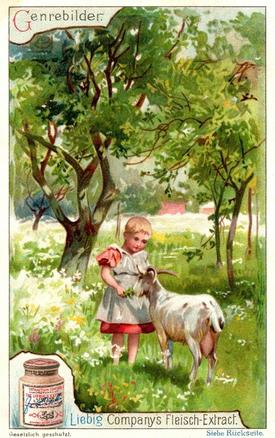 1900 Liebig Country Children (German Text) (F613, S613) #NNO Sheep Front