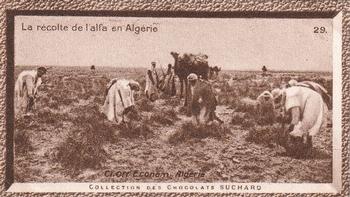 1932 Suchard Collection Coloniale (Demandez Aussi backs) #29 La Récolte de l'Alfa en Algérie (Algérie) Front