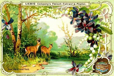 1900 Liebig From Field and Forest (German Text) (F629, S627) #NNO Deer Front