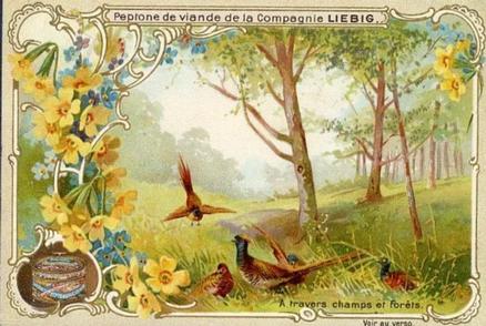 1900 Liebig From Field and Forest (French Text) (F629, S627) #NNO Pheasants Front