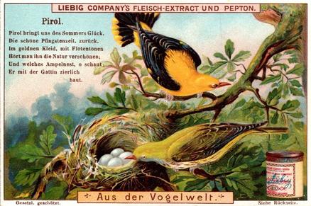 1900 Liebig In Birdland (German Text) (F622, S651) #NNO Oriole Front