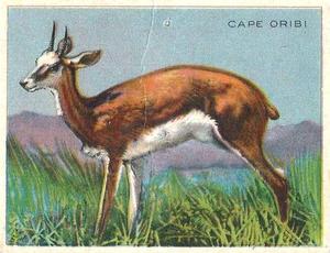 1925 Harry Horne Co. Animals and Birds (FC1) #NNO Cape Oribi Front