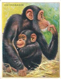 1925 Harry Horne Co. Animals and Birds (FC1) #NNO Chimpanzee Front