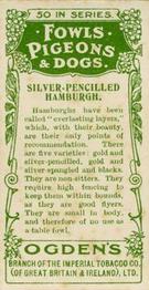 1904 Ogden's Fowls, Pigeons & Dogs #3 Silver-Pencilled Hamburgh Back