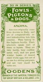 1904 Ogden's Fowls, Pigeons & Dogs #4 Ancona Back