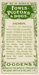 1904 Ogden's Fowls, Pigeons & Dogs #6 Jacobin Back