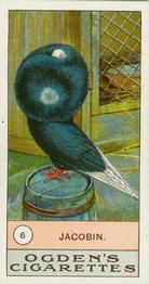 1904 Ogden's Fowls, Pigeons & Dogs #6 Jacobin Front